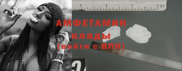 крисы Бородино