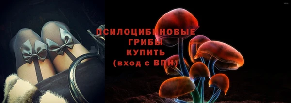крисы Бородино